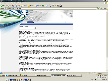company&nbsp;website template