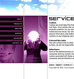 Professional Website Templates