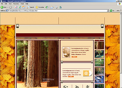 Website Template #10031