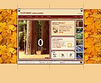 Flash Site 10031