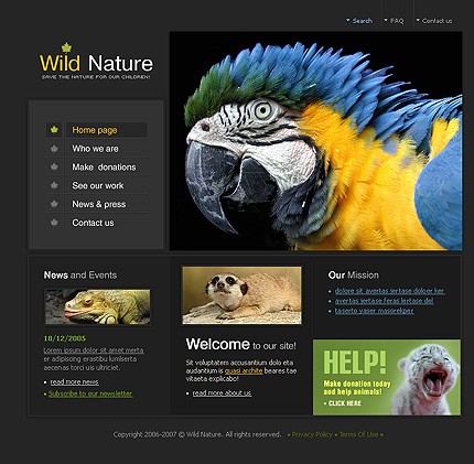 Website Template #10165