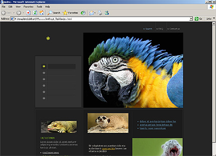 Website Template #10165