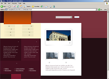 Website Template #10238