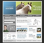 Website #10305