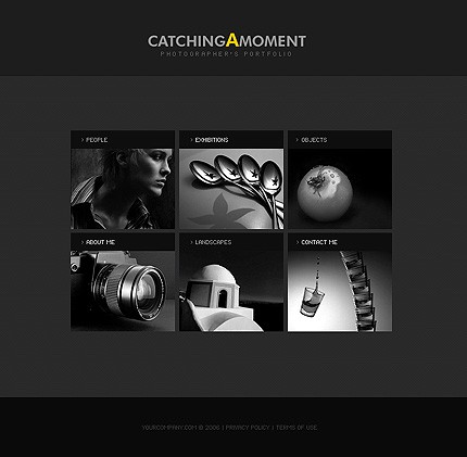Website Template #10656