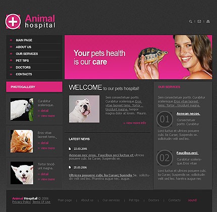 Website Template #11259