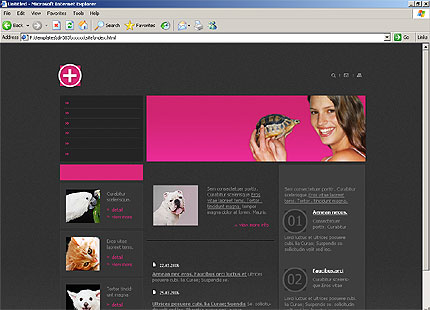Website Template #11259