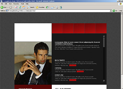 Website Template #11318