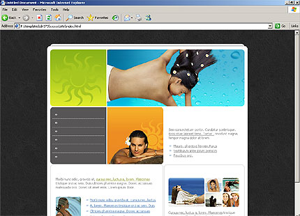 Website Template #11376