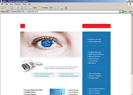 Website Template #11397