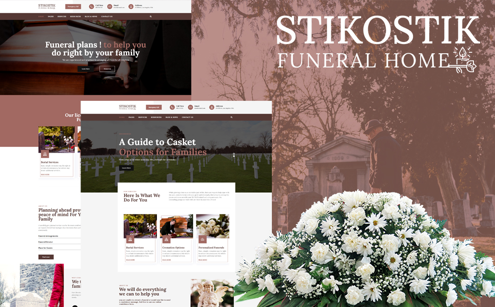 WordPress Themes