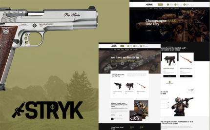 WordPress Themes