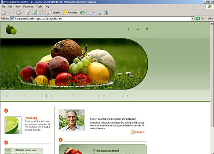 Website Template #11404