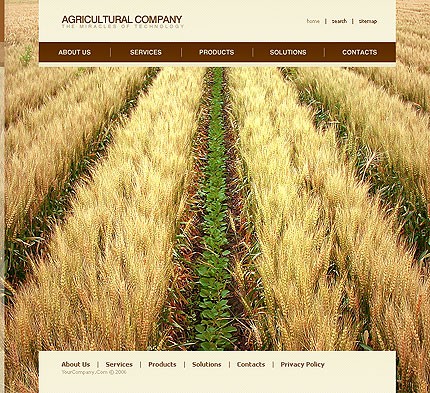 Website Template #11412