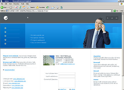 Website Template #11424
