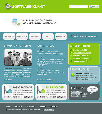 Website Template #11425