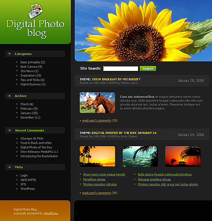 Website Template #11451
