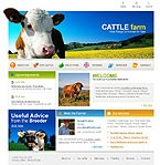 Website #11543