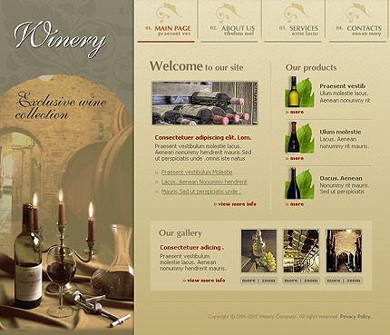 Website Template #11626