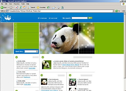 Website Template #11643