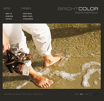 Website Template #11656