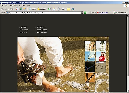 Website Template #11656