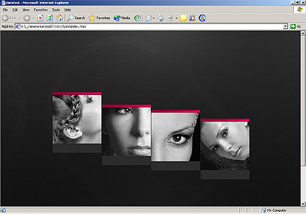 Website Template #11673