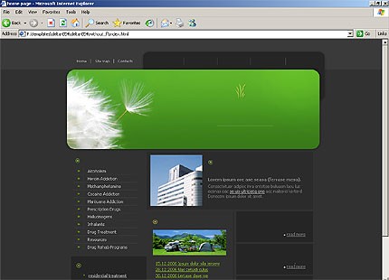 Website Template #11727