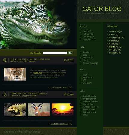 Website Template #11748
