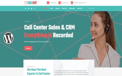 WordPress Themes