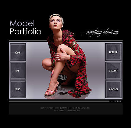 Website Template #11817