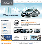 Website #11868
