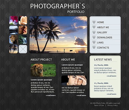 Website Template #11882