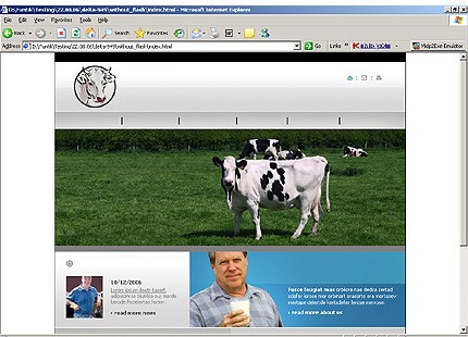 Website Template #11897