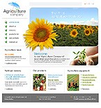 Website #11905