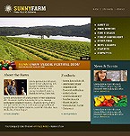 Website #11970