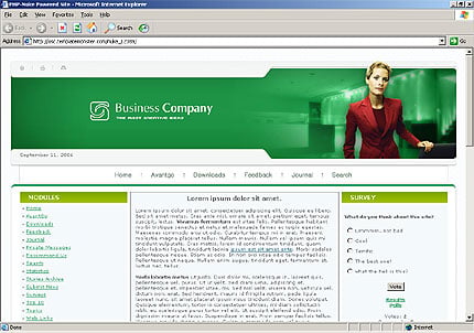 Website Template #12089