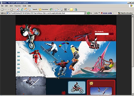 Website Template #12308