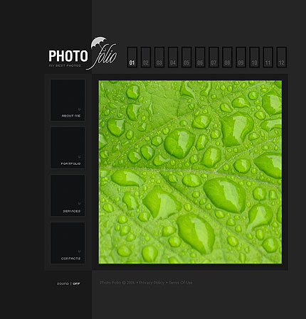 Website Template #12396