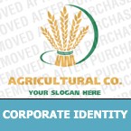 Corporate Identity Template  #12587