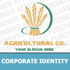 Corporate Identity #12587