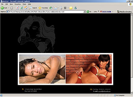 Website Template #12799