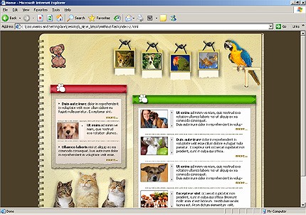 Website Template #12902