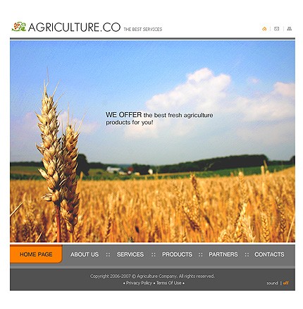 Website Template #13031