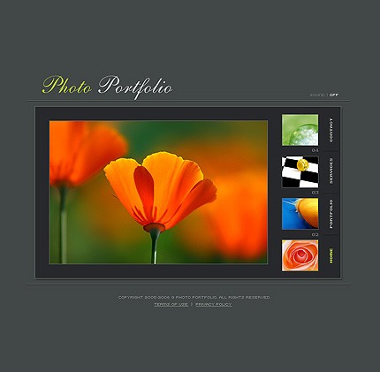 Website Template #13240