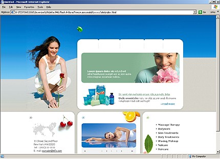 Website Template #13269