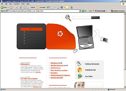 Website Template #13277