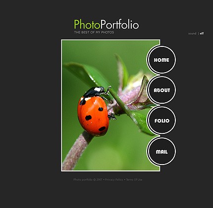 Website Template #13359