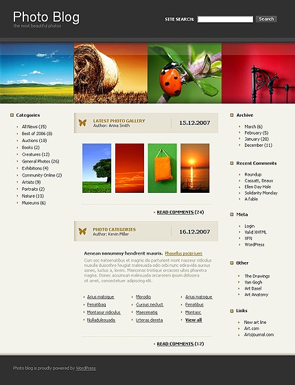 Website Template #13369