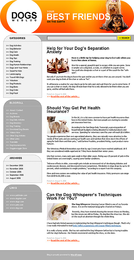 Website Template #13404